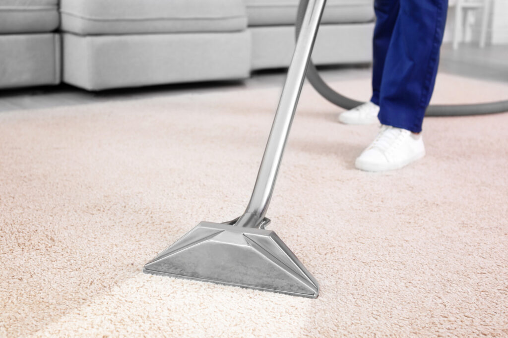 carpet cleaning carpet cleaning